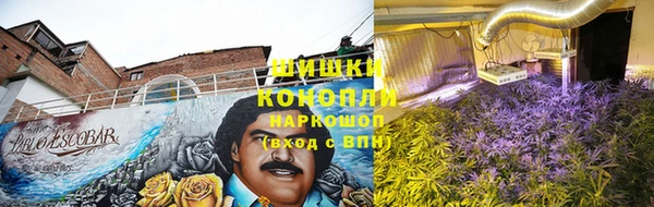 СК Арсеньев
